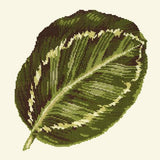 Calathea Leaf Needlepoint Kit Elizabeth Bradley Design 