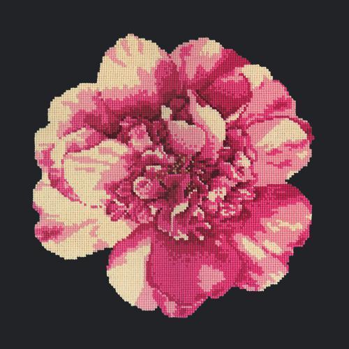 Camellia Blossom Needlepoint Kit Elizabeth Bradley Design 