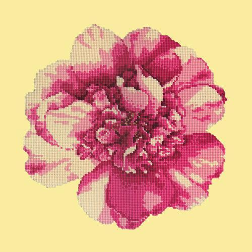 Camellia Blossom Needlepoint Kit Elizabeth Bradley Design Butter Yellow 