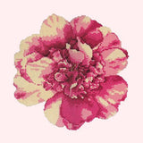 Camellia Blossom Needlepoint Kit Elizabeth Bradley Design Cream 