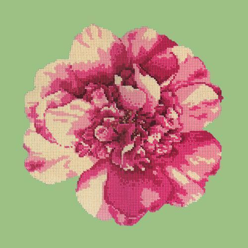 Camellia Blossom Needlepoint Kit Elizabeth Bradley Design Pale Green 