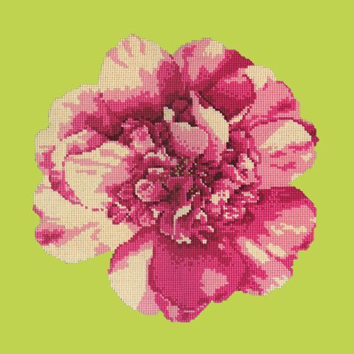 Camellia Blossom Needlepoint Kit Elizabeth Bradley Design Pale Lime 