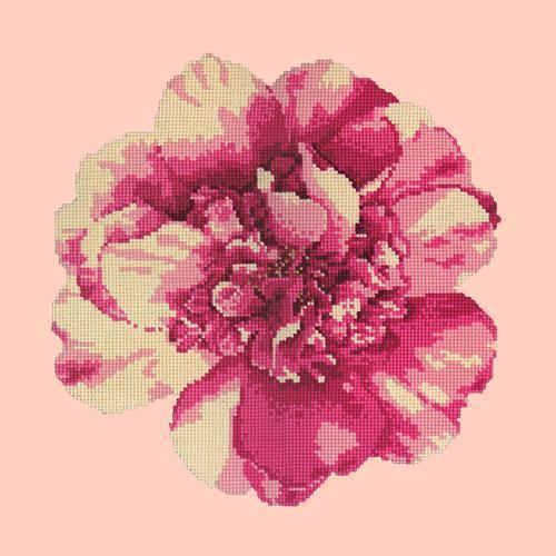 Camellia Blossom Needlepoint Kit Elizabeth Bradley Design Salmon Pink 