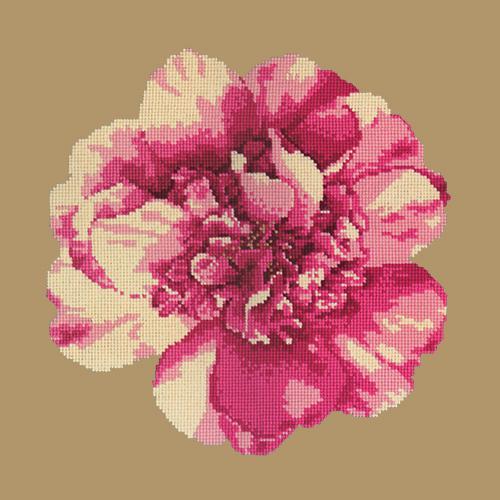 Camellia Blossom Needlepoint Kit Elizabeth Bradley Design Sand 