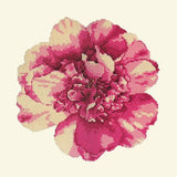 Camellia Blossom Needlepoint Kit Elizabeth Bradley Design Winter White 