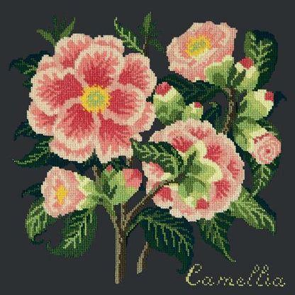 Camellia Needlepoint Kit Elizabeth Bradley Design 