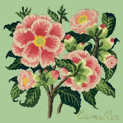 Camellia Needlepoint Kit Elizabeth Bradley Design Pale Green 