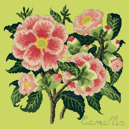 Camellia Needlepoint Kit Elizabeth Bradley Design Pale Lime 