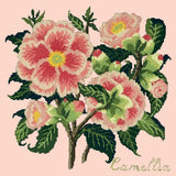 Camellia Needlepoint Kit Elizabeth Bradley Design Salmon Pink 