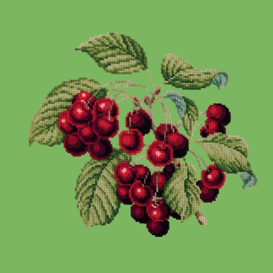 Cherries Needlepoint Kit Elizabeth Bradley Design Grass Green 