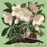Christmas Rose Needlepoint Kit Elizabeth Bradley Design Pale Green 