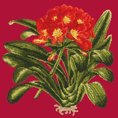 Clivia Needlepoint Kit Elizabeth Bradley Design Bright Red 