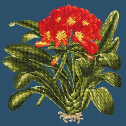 Clivia Needlepoint Kit Elizabeth Bradley Design Dark Blue 