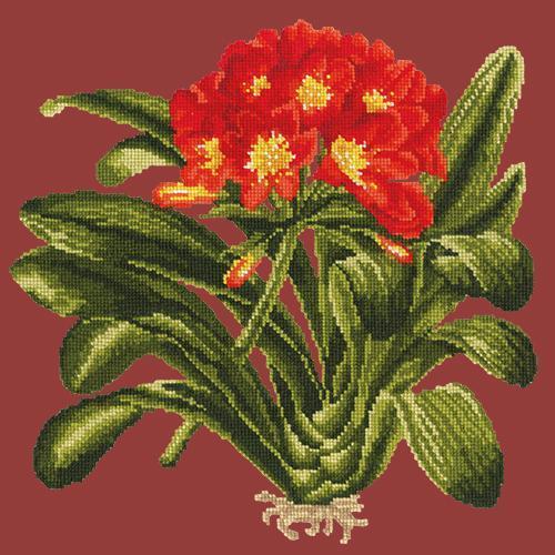 Clivia Needlepoint Kit Elizabeth Bradley Design Dark Red 