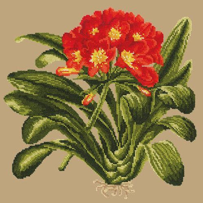 Clivia Needlepoint Kit Elizabeth Bradley Design Sand 