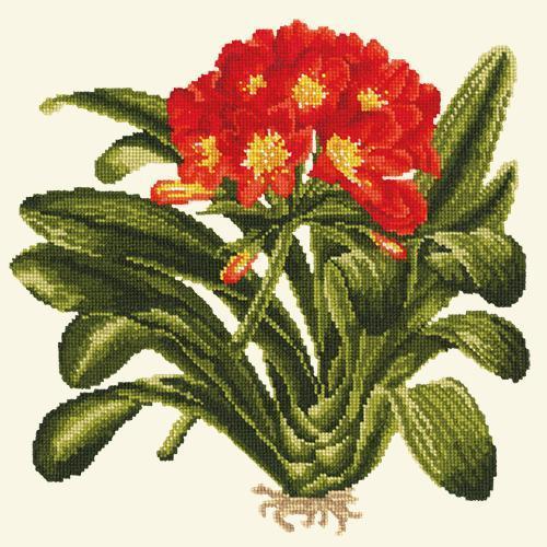 Clivia Needlepoint Kit Elizabeth Bradley Design 