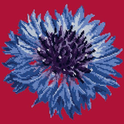 Cornflower Needlepoint Kit Elizabeth Bradley Design Bright Red 