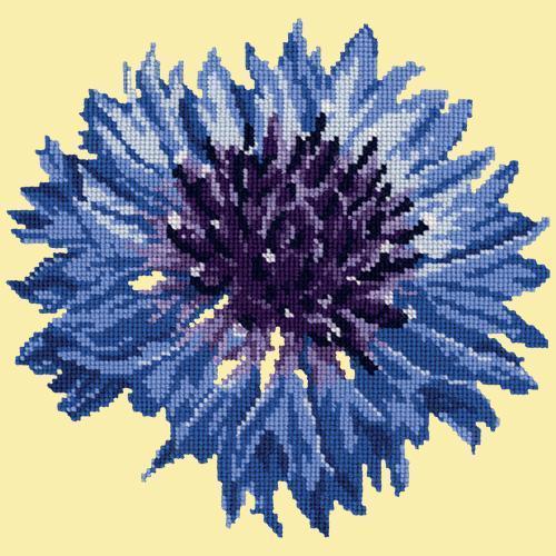 Cornflower Needlepoint Kit Elizabeth Bradley Design Butter Yellow 