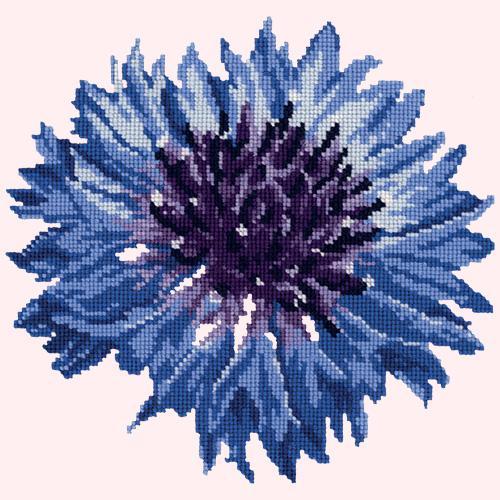 Cornflower Needlepoint Kit Elizabeth Bradley Design Cream 