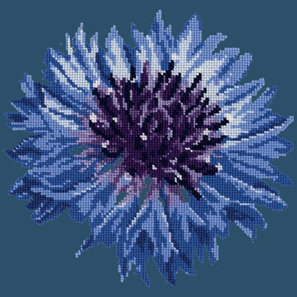 Cornflower Needlepoint Kit Elizabeth Bradley Design Dark Blue 