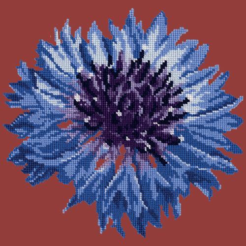 Cornflower Needlepoint Kit Elizabeth Bradley Design Dark Red 