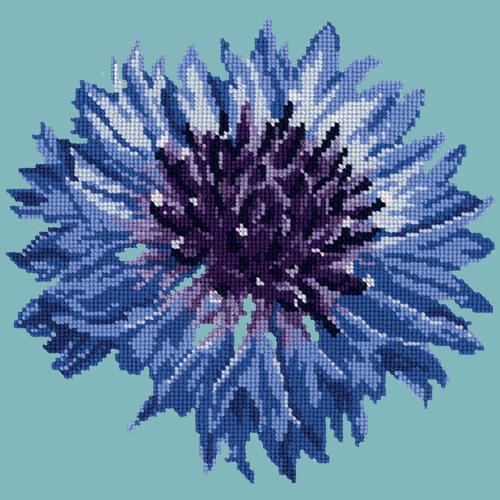 Cornflower Needlepoint Kit Elizabeth Bradley Design Duck Egg Blue 