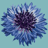 Cornflower Needlepoint Kit Elizabeth Bradley Design Duck Egg Blue 
