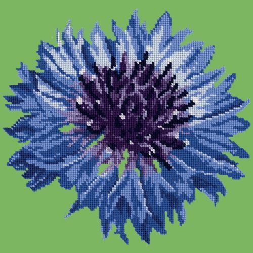 Cornflower Needlepoint Kit Elizabeth Bradley Design Grass Green 