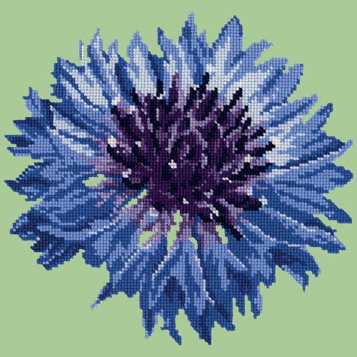 Cornflower Needlepoint Kit Elizabeth Bradley Design Pale Green 