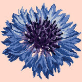 Cornflower Needlepoint Kit Elizabeth Bradley Design Salmon Pink 