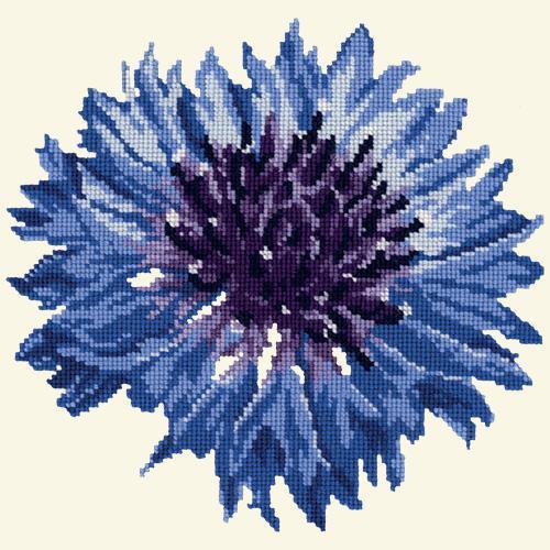 Cornflower Needlepoint Kit Elizabeth Bradley Design 