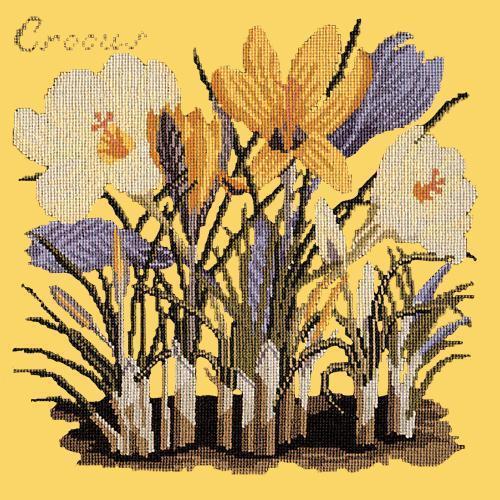 Crocus Needlepoint Kit Elizabeth Bradley Design Sunflower Yellow 