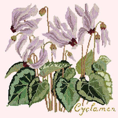 Cyclamen Needlepoint Kit Elizabeth Bradley Design Cream 