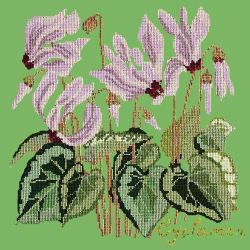 Cyclamen Needlepoint Kit Elizabeth Bradley Design Grass Green 