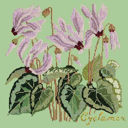 Cyclamen Needlepoint Kit Elizabeth Bradley Design Pale Green 