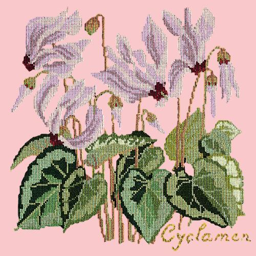 Cyclamen Needlepoint Kit Elizabeth Bradley Design Pale Rose 