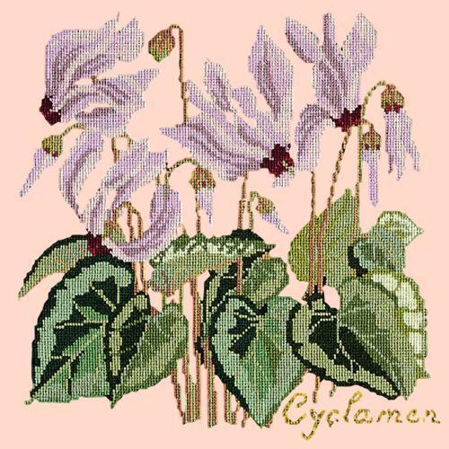 Cyclamen Needlepoint Kit Elizabeth Bradley Design Salmon Pink 