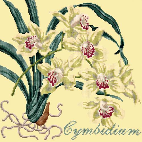 Cymbidium (Boat Orchid) Needlepoint Kit Elizabeth Bradley Design Butter Yellow 