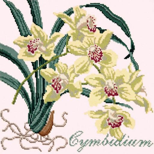 Cymbidium (Boat Orchid) Needlepoint Kit Elizabeth Bradley Design 
