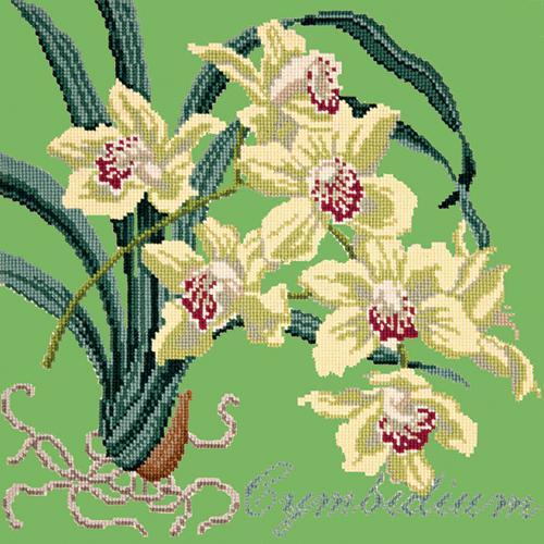 Cymbidium (Boat Orchid) Needlepoint Kit Elizabeth Bradley Design Grass Green 