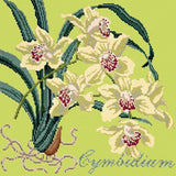 Cymbidium (Boat Orchid) Needlepoint Kit Elizabeth Bradley Design Pale Lime 