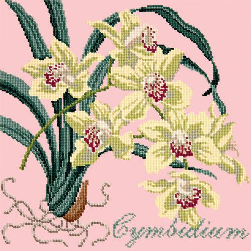 Cymbidium (Boat Orchid) Needlepoint Kit Elizabeth Bradley Design Pale Rose 