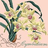 Cymbidium (Boat Orchid) Needlepoint Kit Elizabeth Bradley Design Salmon Pink 