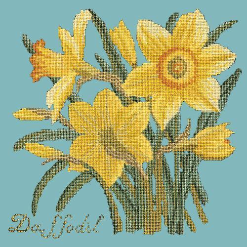 Daffodil Needlepoint Kit Elizabeth Bradley Design Duck Egg Blue 