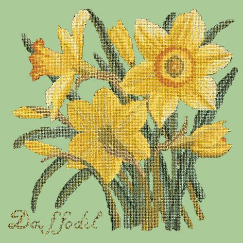 Daffodil Needlepoint Kit Elizabeth Bradley Design Pale Green 