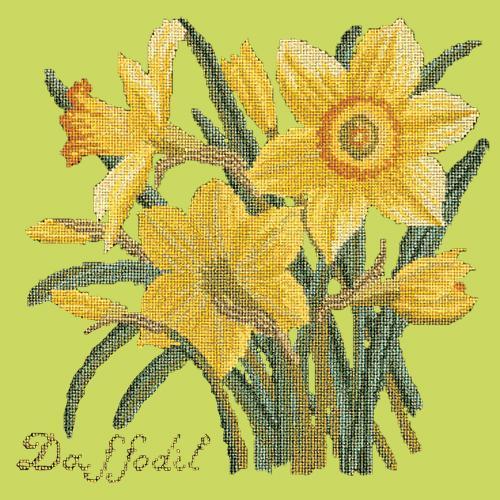 Daffodil Needlepoint Kit Elizabeth Bradley Design Pale Lime 