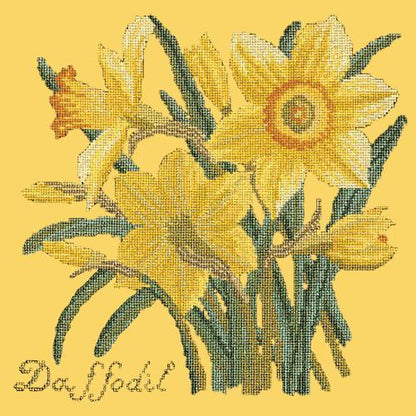 Daffodil Needlepoint Kit Elizabeth Bradley Design Sunflower Yellow 