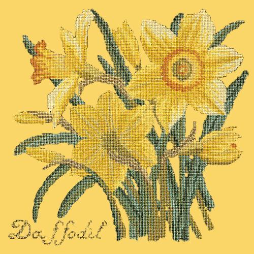Daffodil Needlepoint Kit Elizabeth Bradley Design Sunflower Yellow 
