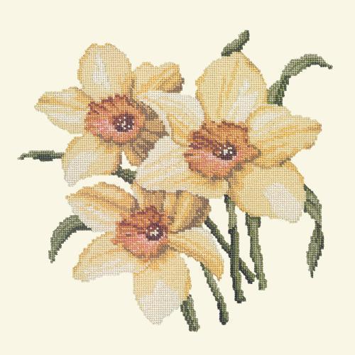 Daffodils Needlepoint Kit Elizabeth Bradley Design 