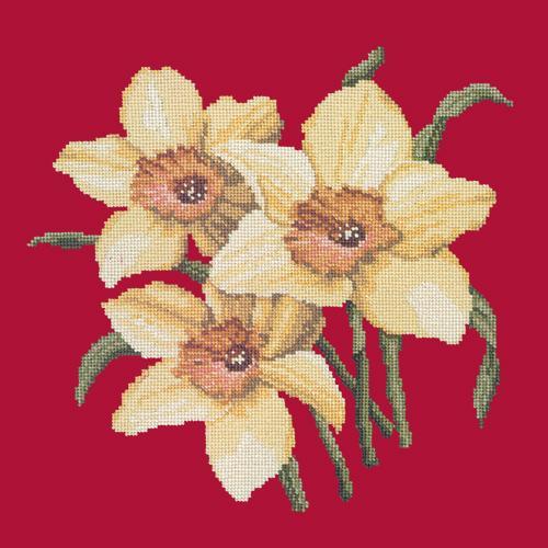 Daffodils Needlepoint Kit Elizabeth Bradley Design Bright Red 